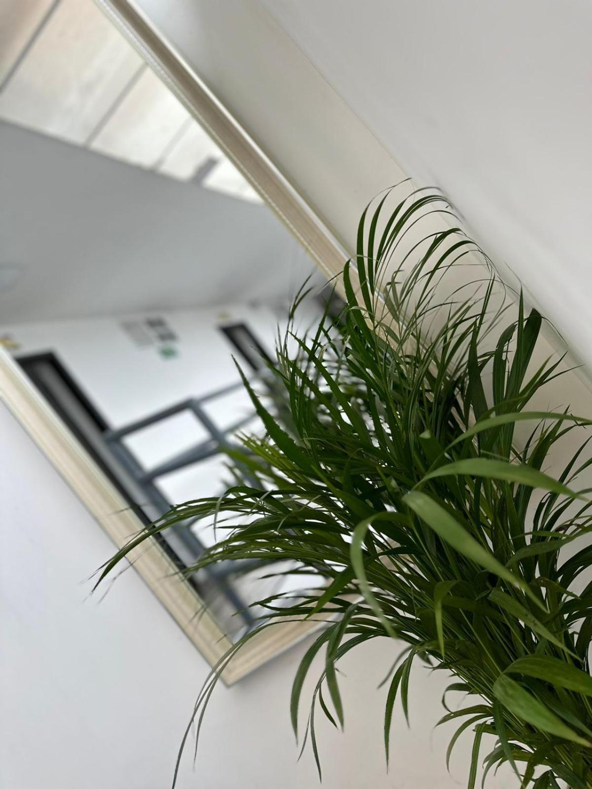סנטה רוזה דה כבאל Hotel Las Flores מראה חיצוני תמונה